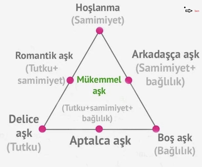 Sizin sevginiz ne tür?