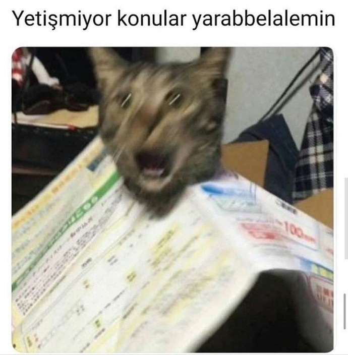 YKS'ye SON 8 GÜN! Ruh halinizi tek bir görselle anlatsanız nasıl olurdu?