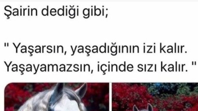 Olmayacağını bildiginiz halde içimde kalmasın diyip söyler veya yapar mısınız?