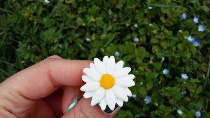En çok hangi çiçeği seversiniz?