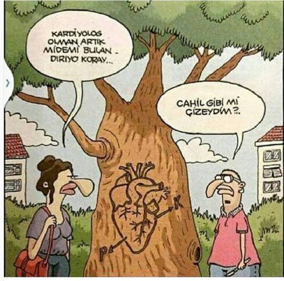 Evleneceğiniz kişinin mesleği ne olsun isterdiniz?