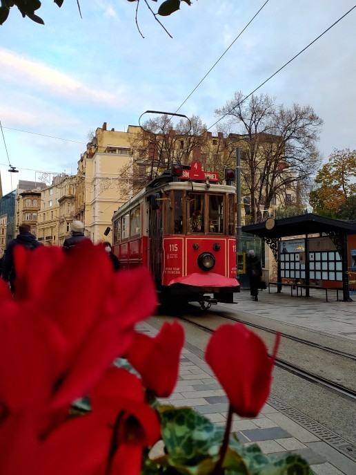 Fotoğraf çekmeyi ya da çekilmeyi seviyor musunuz?