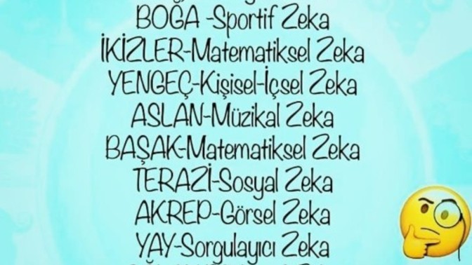 Burcuna göre hangi zeka türüne sahipsin?