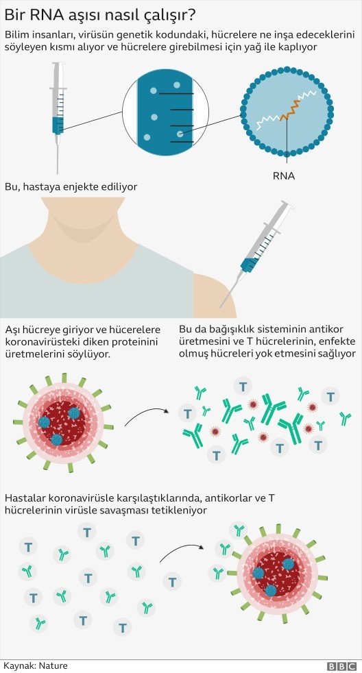 Biontech aşısı hakkında görüşleriniz nelerdir?