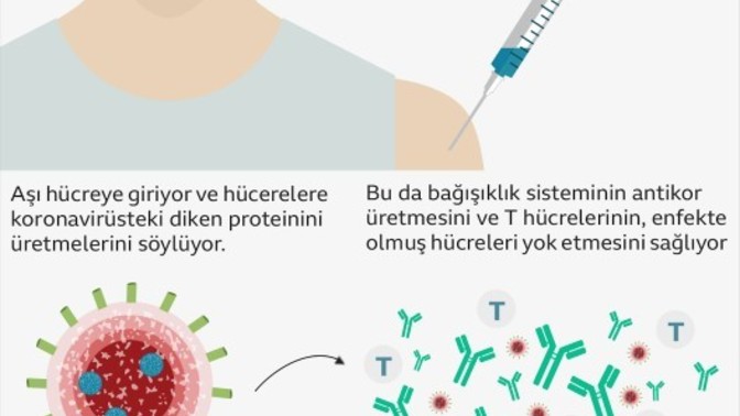 Biontech aşısı hakkında görüşleriniz nelerdir?