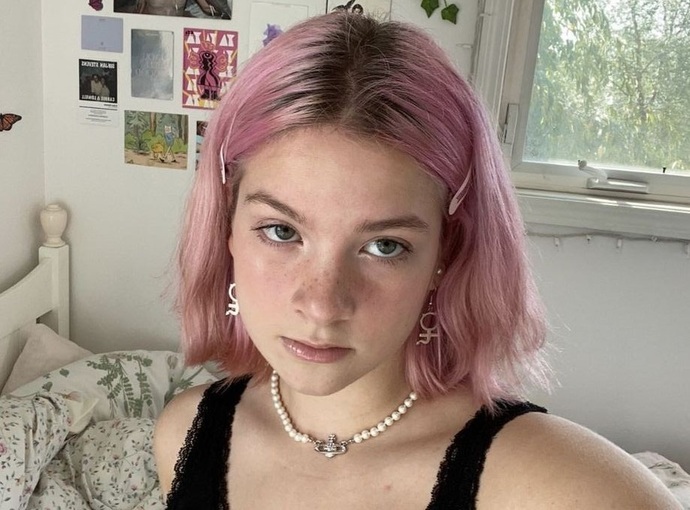 Resimdeki pembe örnektir.