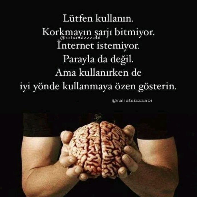 Sosyal medyada başlayan #Gayyış araba akımı hakkında ne düşünüyorsunuz, bunlar akıllanmaz mı?