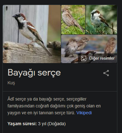Serce, sığırcık gibi kuşların ömrü ne kadardır?