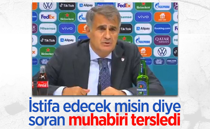A Milli Takım Euro 2020de gruptan çıkamadı sizce Şenol Güneş ile yola devam edilmeli mi?
