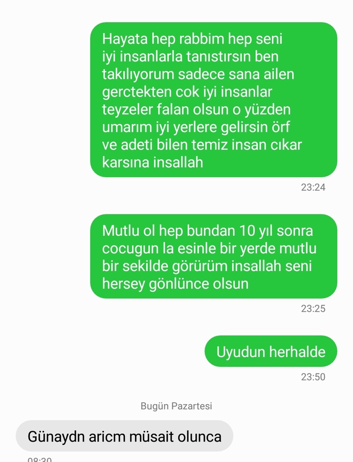 Sevmediği mi anlamısmıdır neden Arıcam diyor?