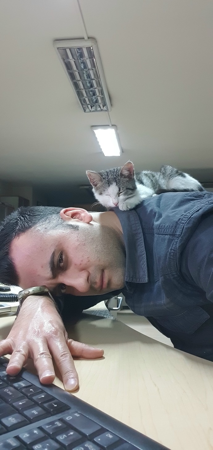 Rahatınıza ne kadar düşkünsünüz?