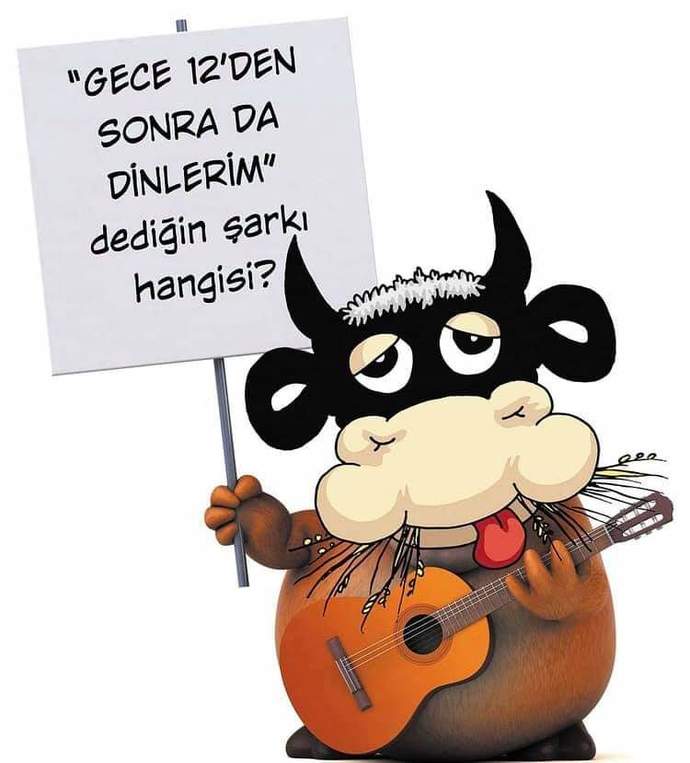 Müzik tercihleriniz neler?