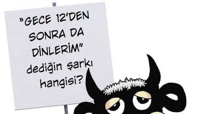 Müzik tercihleriniz neler?