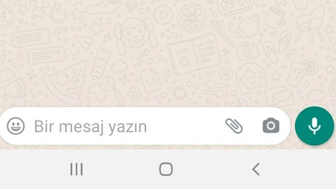 Yemeğe davet ettim? Gelmek mi istemiyor sizce? Beni başından mı savdı?