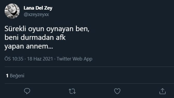 Oyun oynarken evde rahatsız olduğunuz şeyler neler?