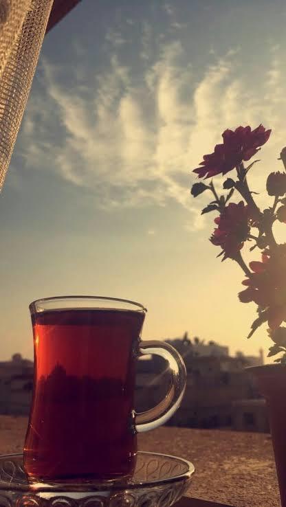 🌺