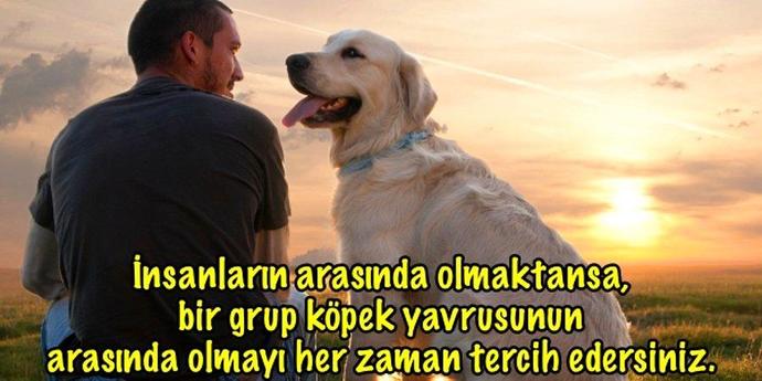 Bugüne kadar beslediğiniz en ilginç hayvan neydi?