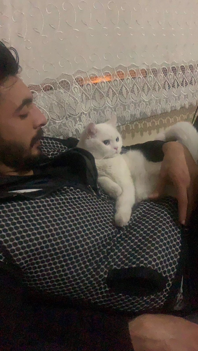 Hayvan sever misiniz?