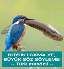 Aranızda Hem Büyük Lokma Yerim Hem Büyük Konuşurum Diyecek Kadar Cesur Olan İnsanlar Var mı?