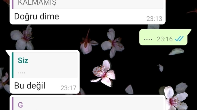 Eski eşimin hareketlerini yazdıklarını yorumlar mısınız?