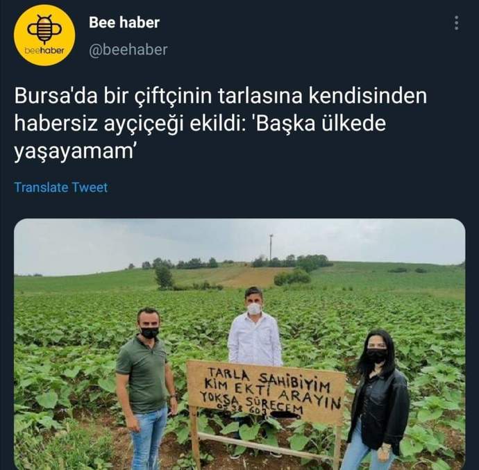 Sizden habersiz tarlanıza ürün ekilse ne yapardınız?