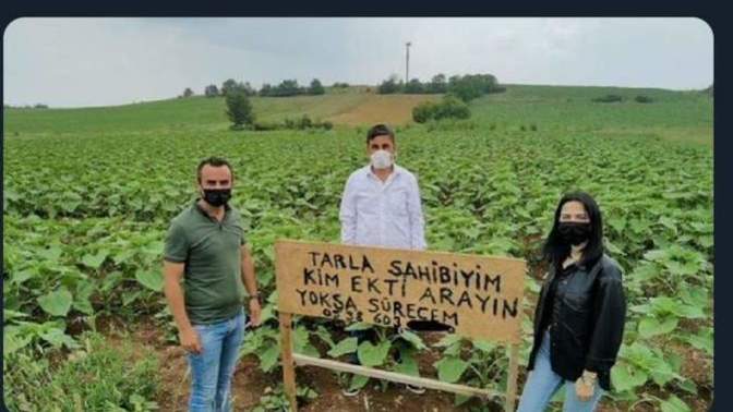 Sizden habersiz tarlanıza ürün ekilse ne yapardınız?