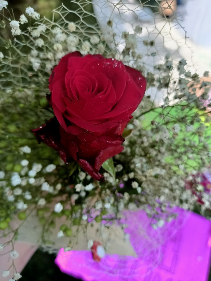 Bugün seni sevindiren ne yaşadın benim ki aşağıda 💗🌹?