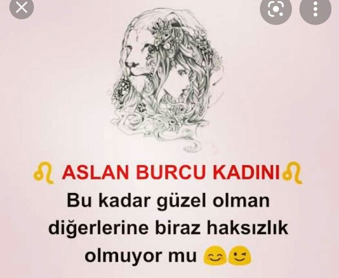 Aslan burcu hakkında ne düşünüyorsunuz?