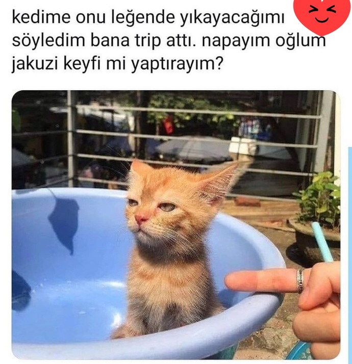 Hayvanlarla yaşadığın ilginç anıların neler?