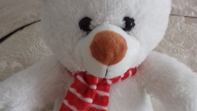Beyaz peluş ayımı nasıl yıkamalıyım?