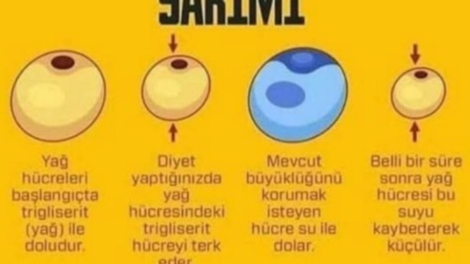 Diyet ve spor yaparken kilo aldım. Ne yapacağım?