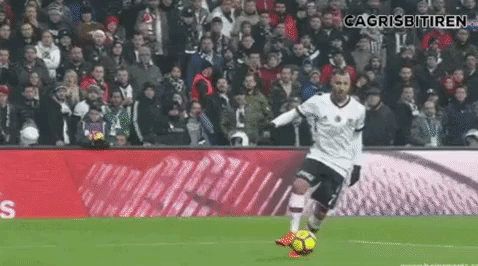 Siz bu hayatta neye ve kime aşk derecesinde fanatiksiniz?