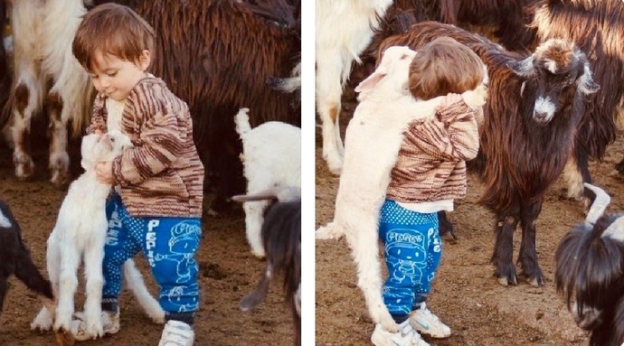 İkizler burcunu niye kimse sevmez?