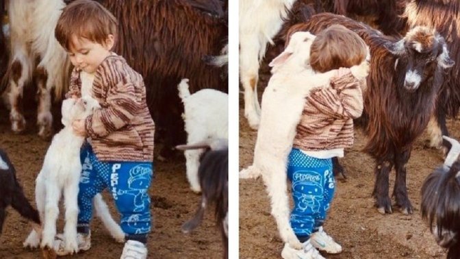 İkizler burcunu niye kimse sevmez?