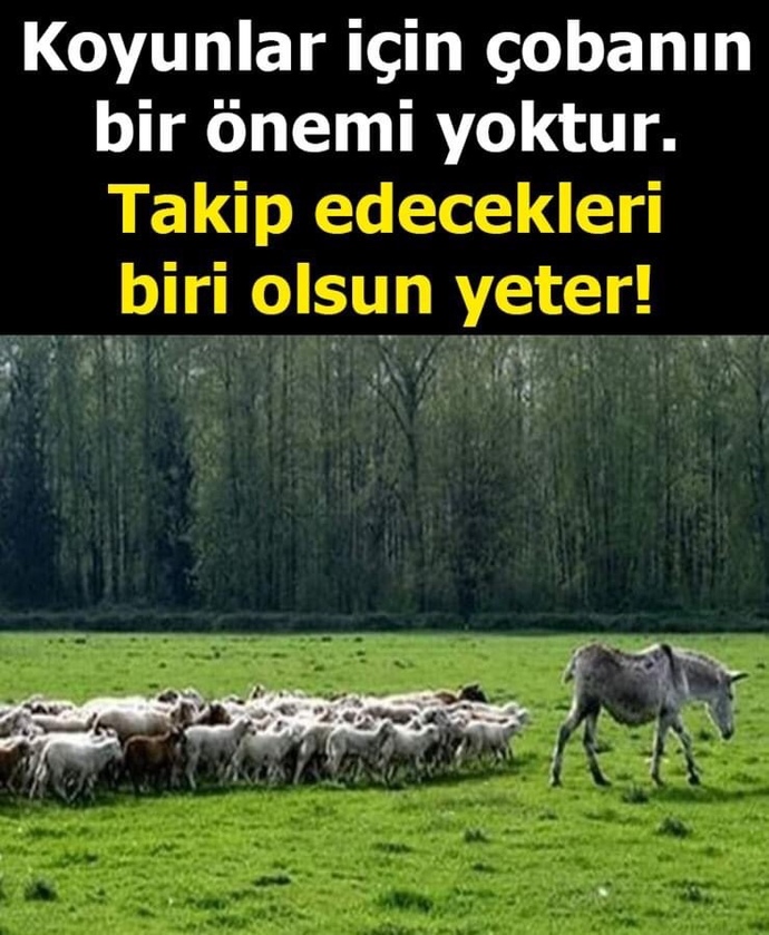 Ak Parti İzmir'i neden kazanamıyor?