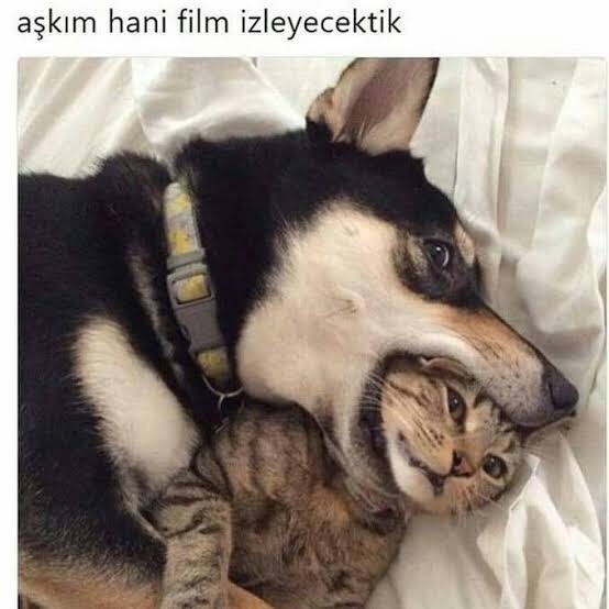 İlk buluşma için eve davet eden flörtünüze ne tepki verirsiniz?