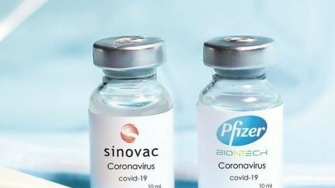 Biontech aşı mı? Sinovac aşı mı?