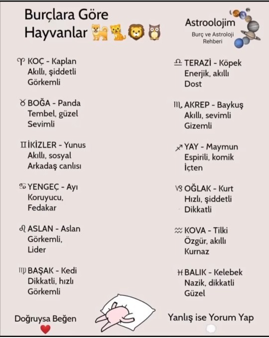 Burcuna göre hangi hayvanın özelliğini taşıyorsun?