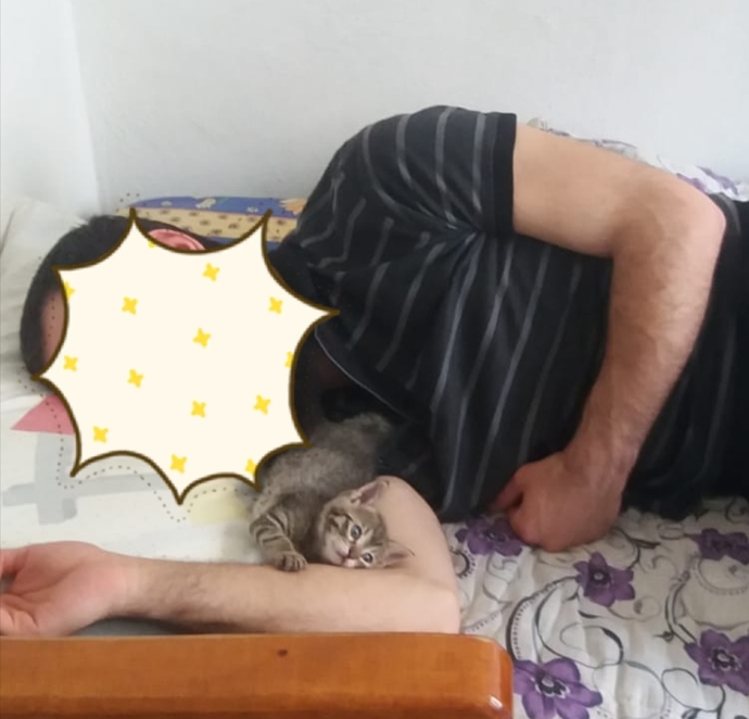 Burcuna göre hangi hayvanın özelliğini taşıyorsun?