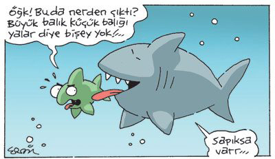 Sokak kedisinin ağzında çırpınan bir güvercin görseniz ne yapardınız?