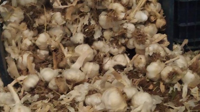 82 TL için bu fabrikada çalışmaya değer mi?