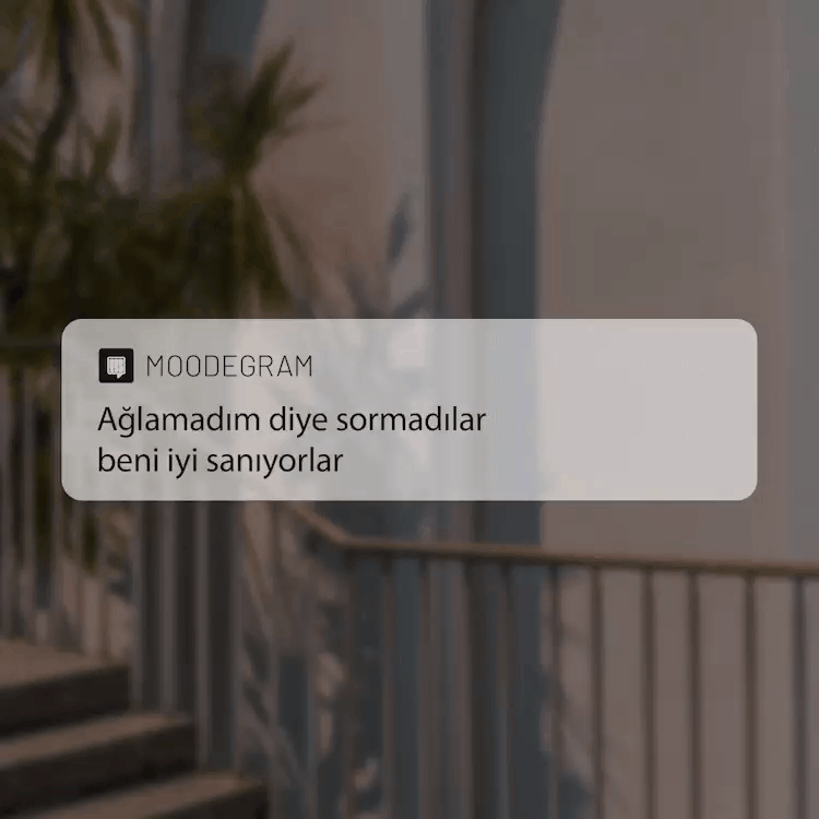 Seni anlatan şarkı sözü hangisi?