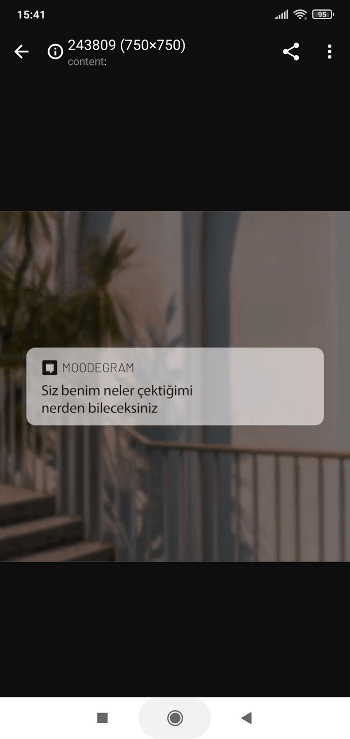 Seni anlatan şarkı sözü hangisi?