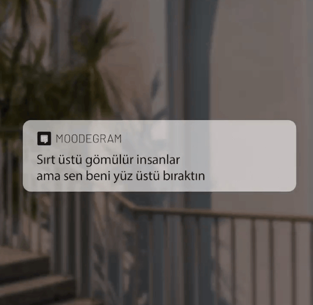 Seni anlatan şarkı sözü hangisi?