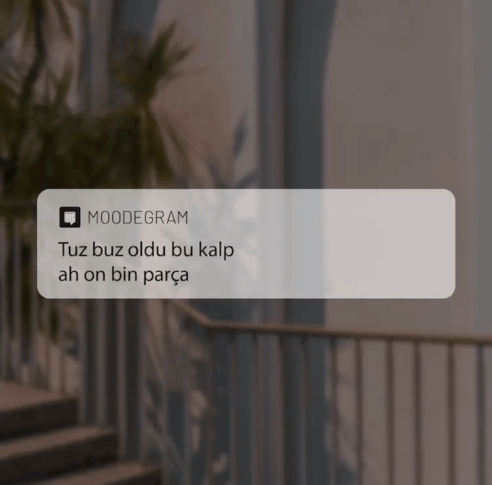Seni anlatan şarkı sözü hangisi?