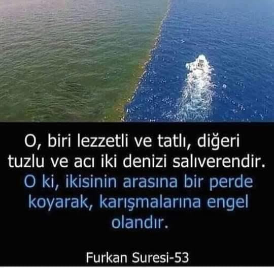 Bazı ayetler vardır ki, bir anda dokunup değiştirir hayatımızı. Peki bizim hayatımızı değiştiren ayet nedir?