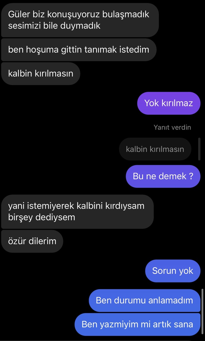 Flört ediyoruz kötü biri diyemem ama şimdi neden böyle birsey yaptı ki adamın amacı ne? ?