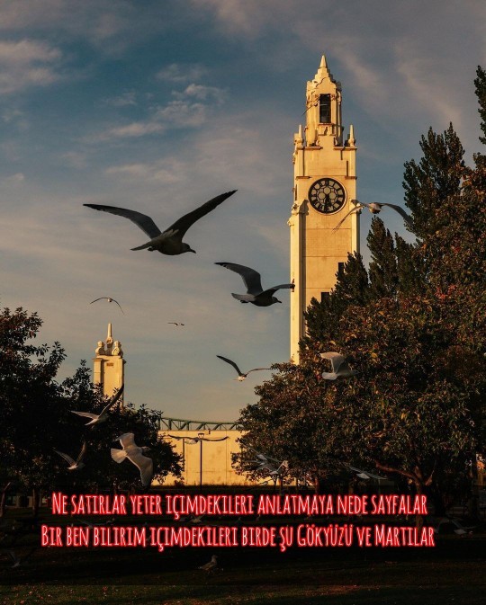 Duygularınızı nasıl dile getirirsiniz?