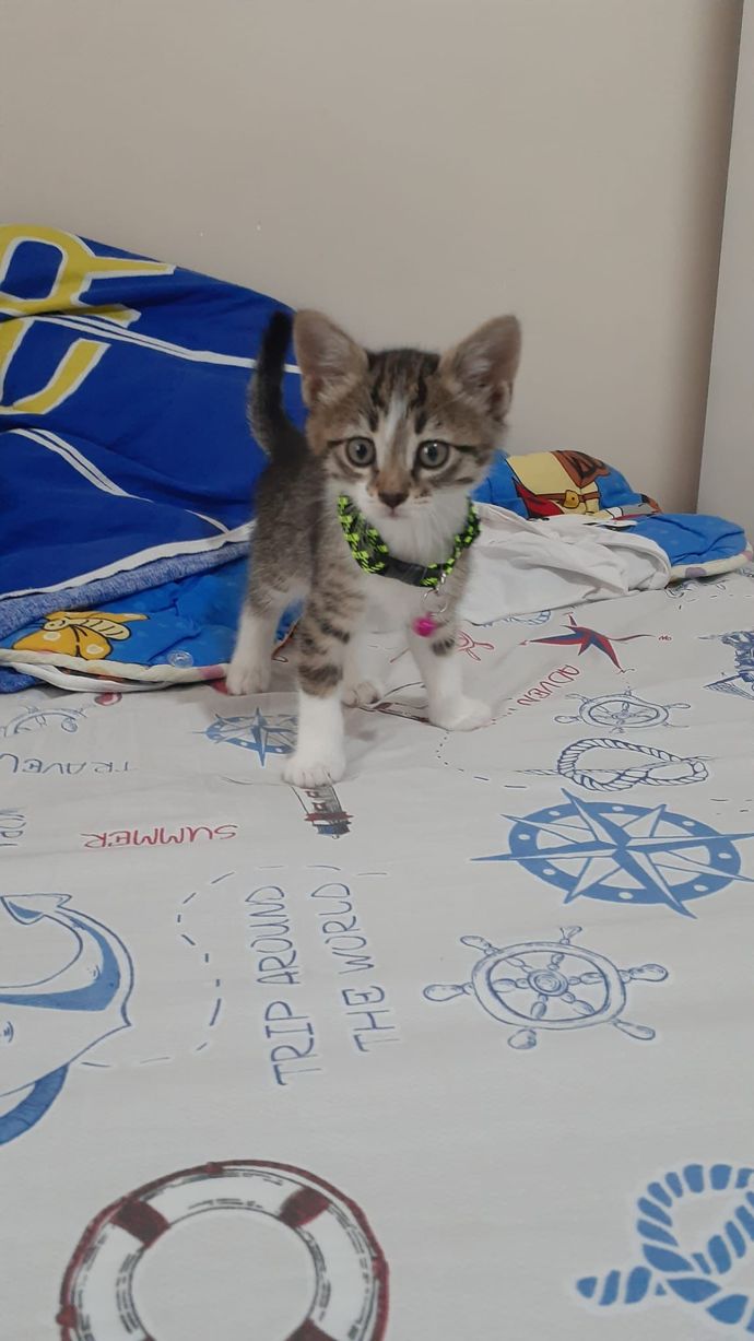 İsim öneriniz var mı?