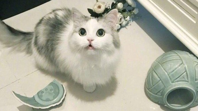 Yapmadığınız bir şey için hiç suçlandınız mı?